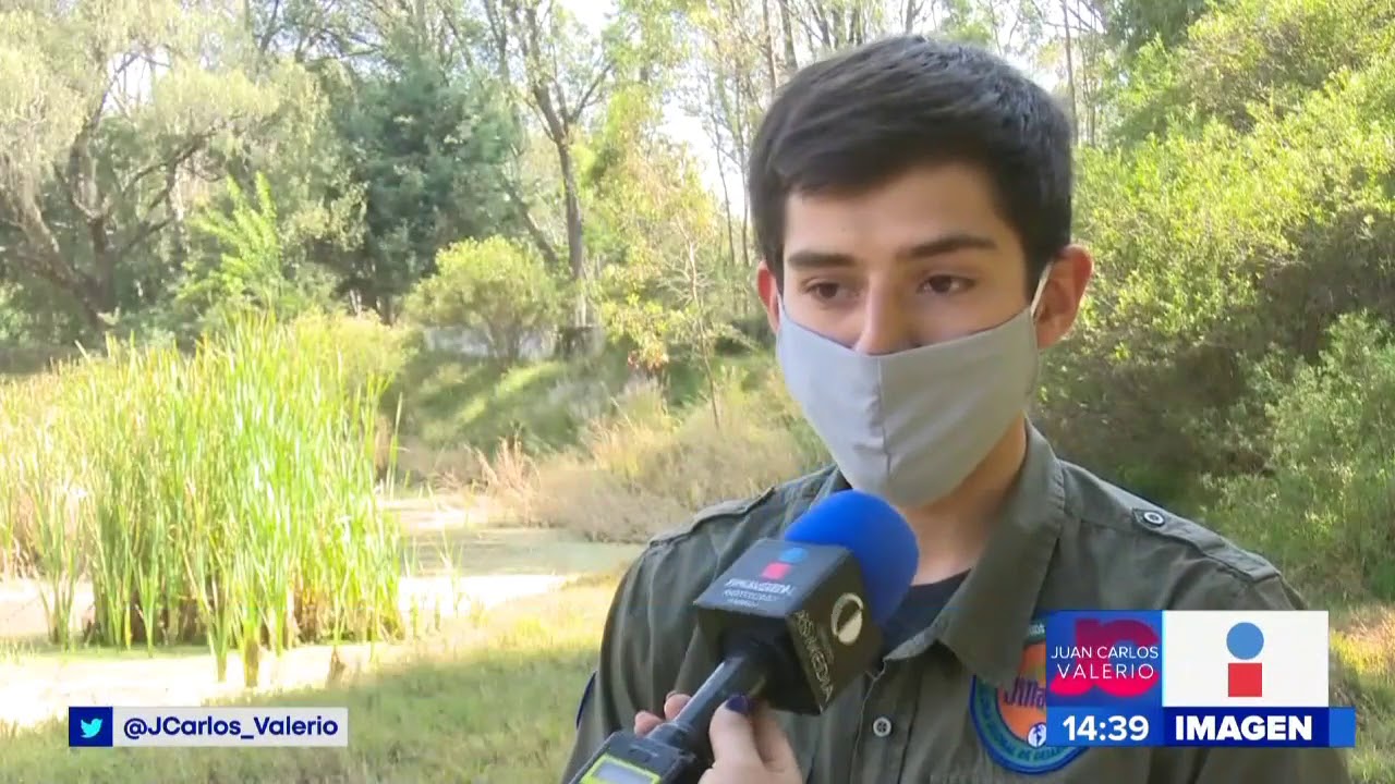 Conservaci&oacute;n Ajolote || Noticias con Juan Carlos Valerio