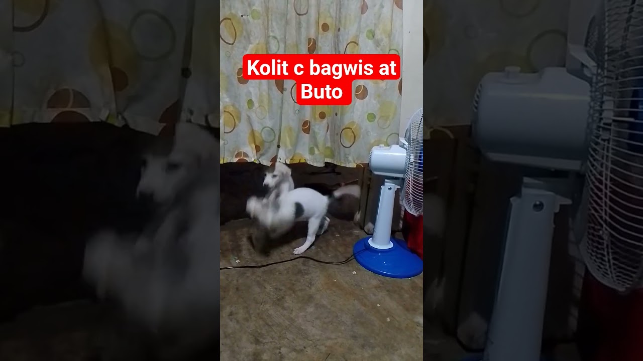 ganito cla kakolit 😆😆😆
