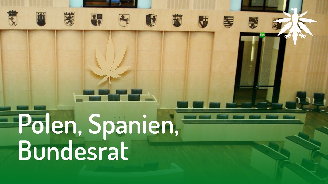 Polen, Spanien, Bundesrat | DHV News #128