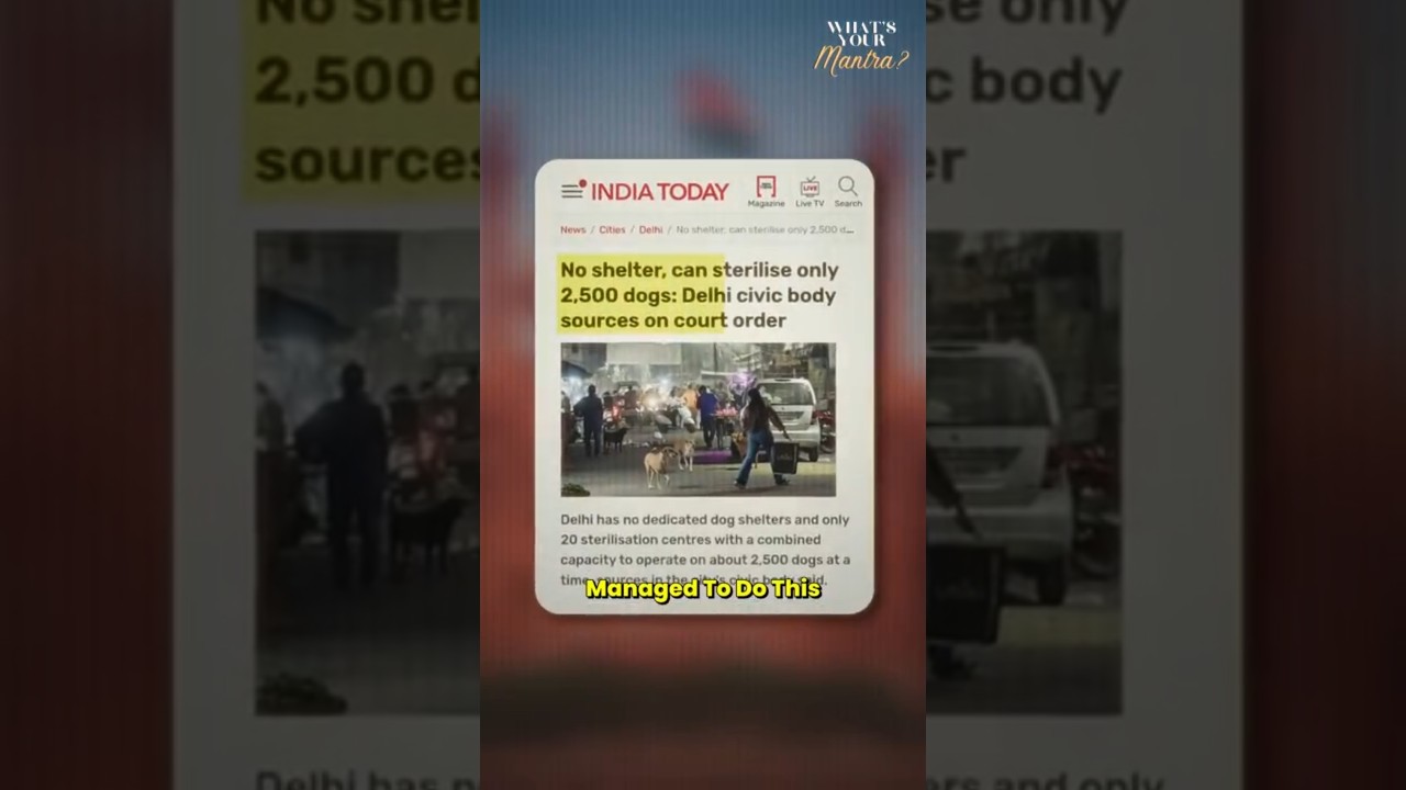 PETA Expert Reveals Shocking Truth About Stray Dogs | Meet Ashar | What's Your Mantra @peta