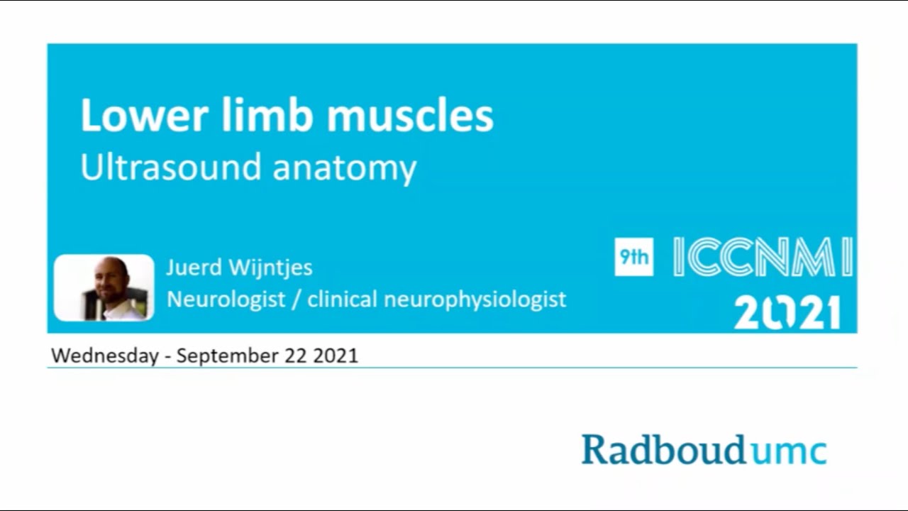 ICCNMI 2021 - Lower limb muscle ultrasound anatomy