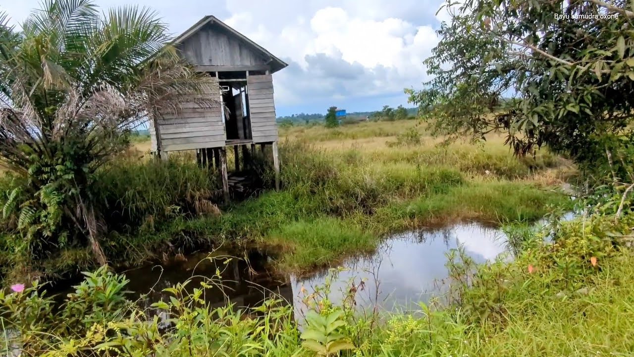 Kehidupan suku dayak, di pedalaman kalimantan tengah,