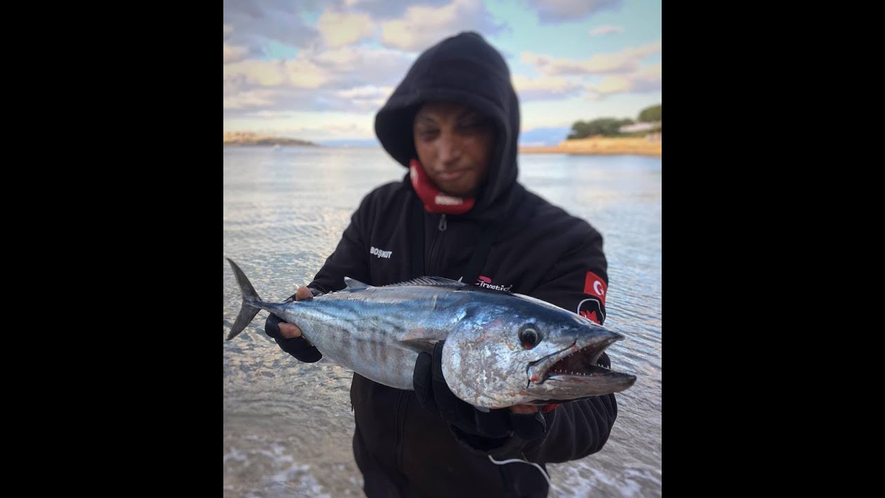 Kıyıdan Spin ile Torik Avı. Bonito Fishing かつお Shore Jiging..
