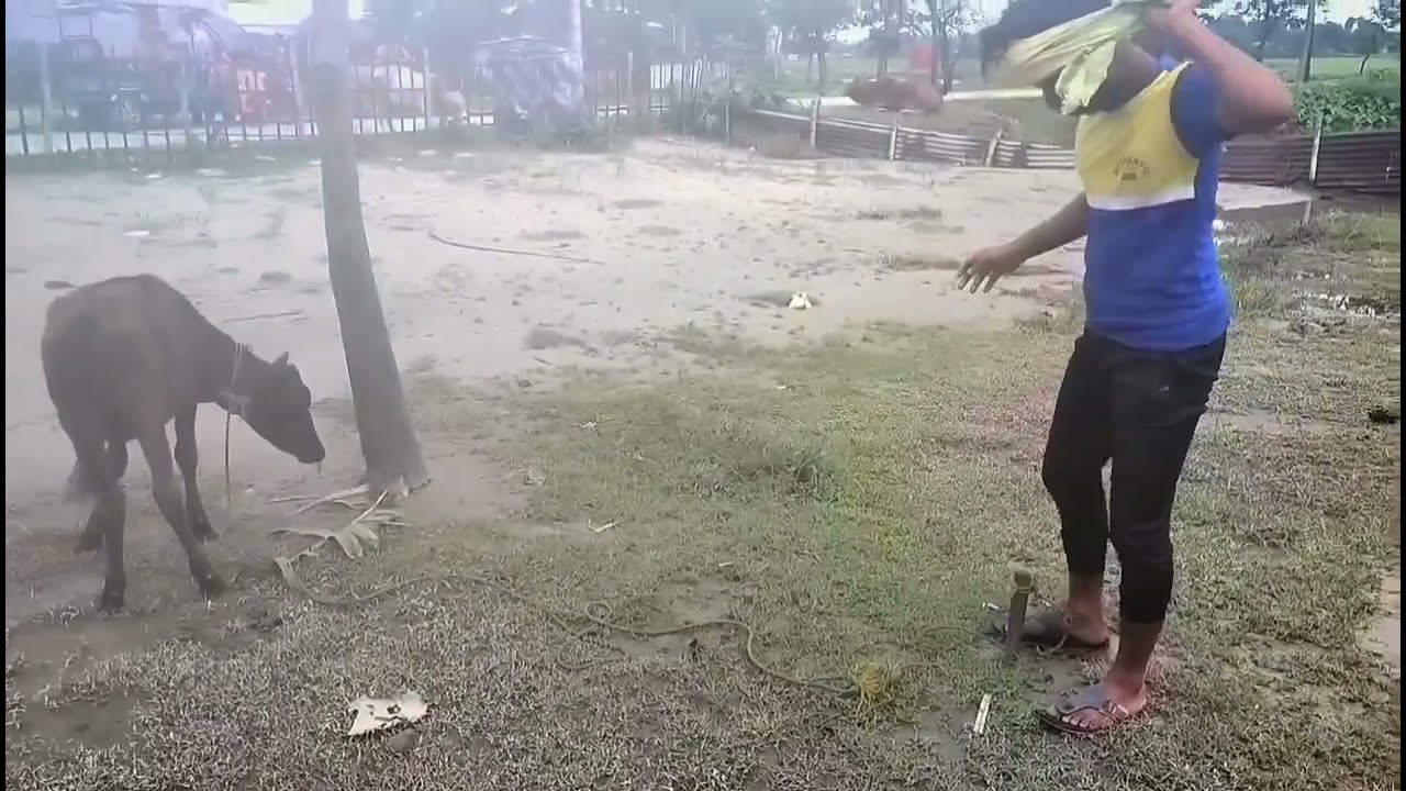 New funny video😂||Baniyapara Entertainment