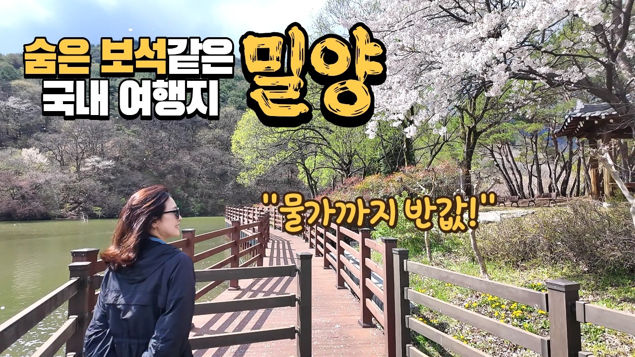 7년째 주말마다 국내 여행! 여길 왜 이제야 왔지&hellip; 물가까지 반값인 국내 여행지