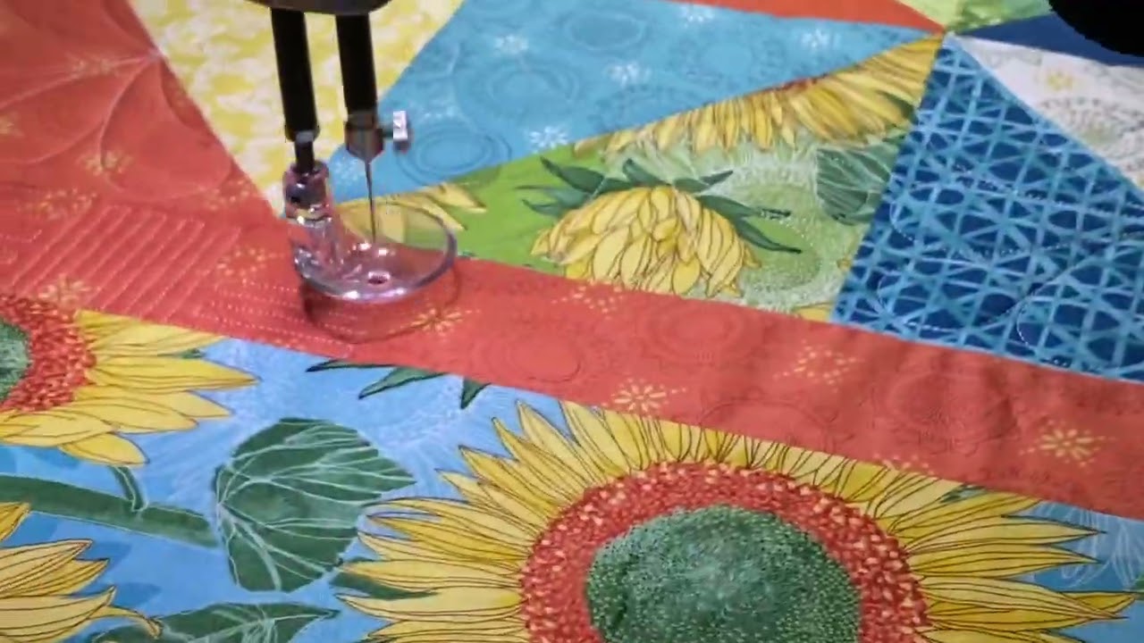 My Very First Quilt on the BabyLock Regalia