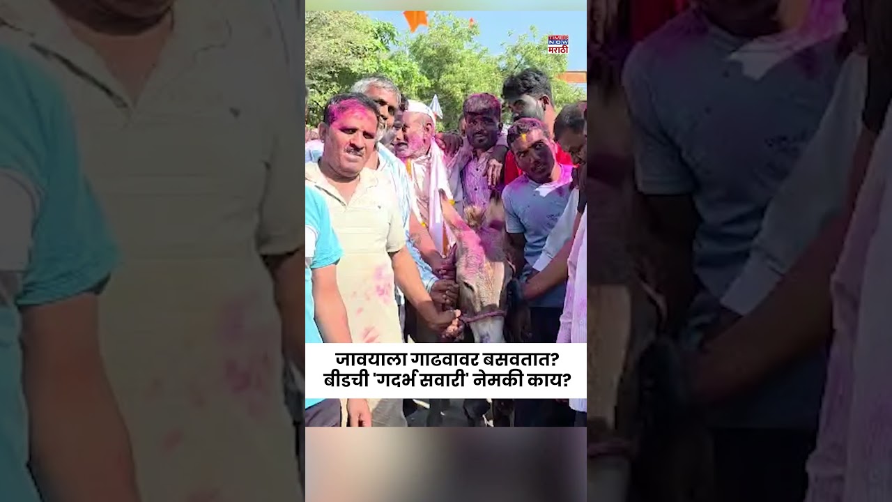 Beed Holi Special: जावयाला गाढवावर बसवतात? विडा गावातील 90 वर्षांची &lsquo;गदर्भ सवारी&rsquo; परंपरा #short