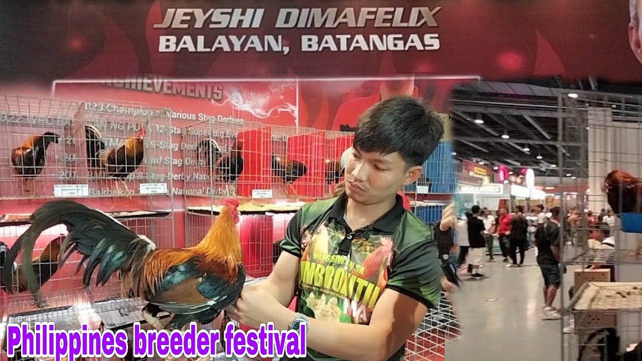 Philippine Breeder's Festival 2025 
