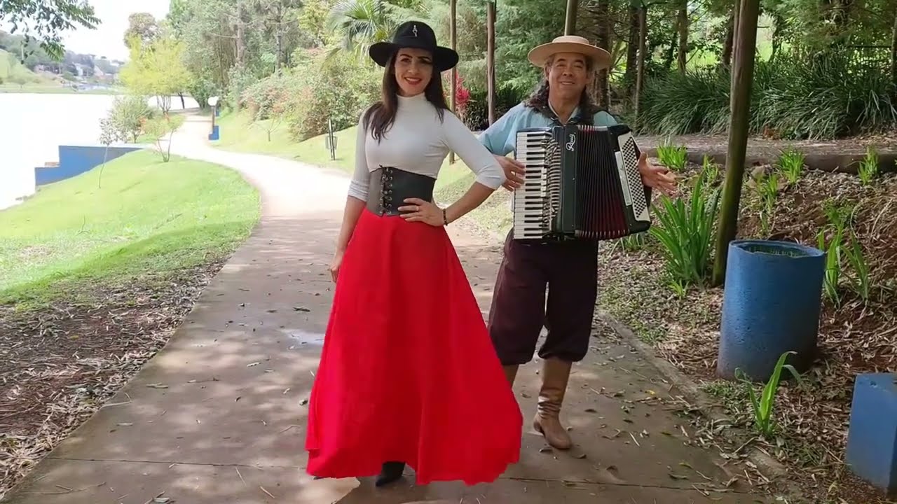 A Gaita Velha do Seu Ary / Denise Andrade