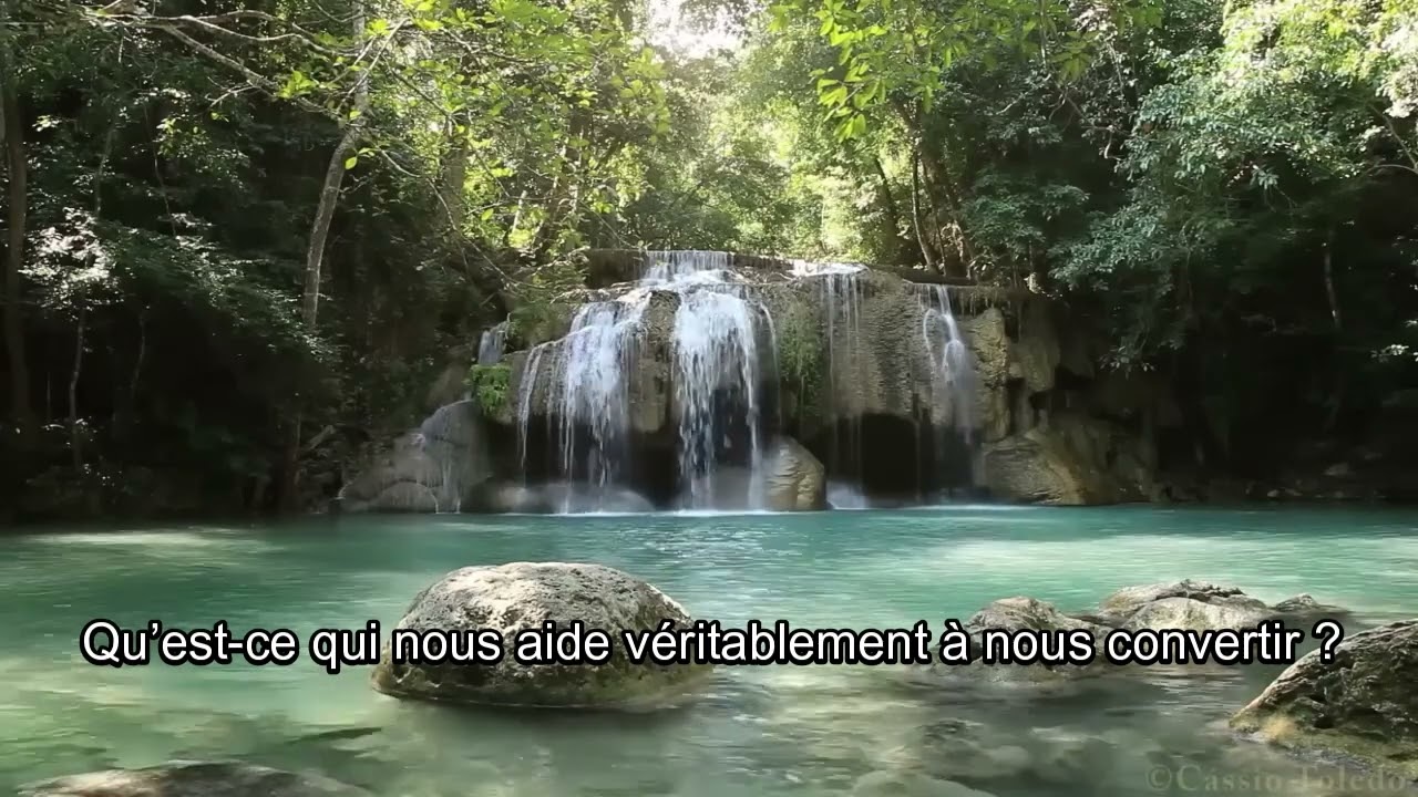Méditation quotidienne CDCV samedi 26 février 2026