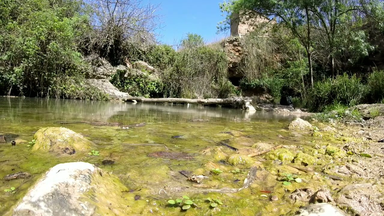 El peque&ntilde;o oasis