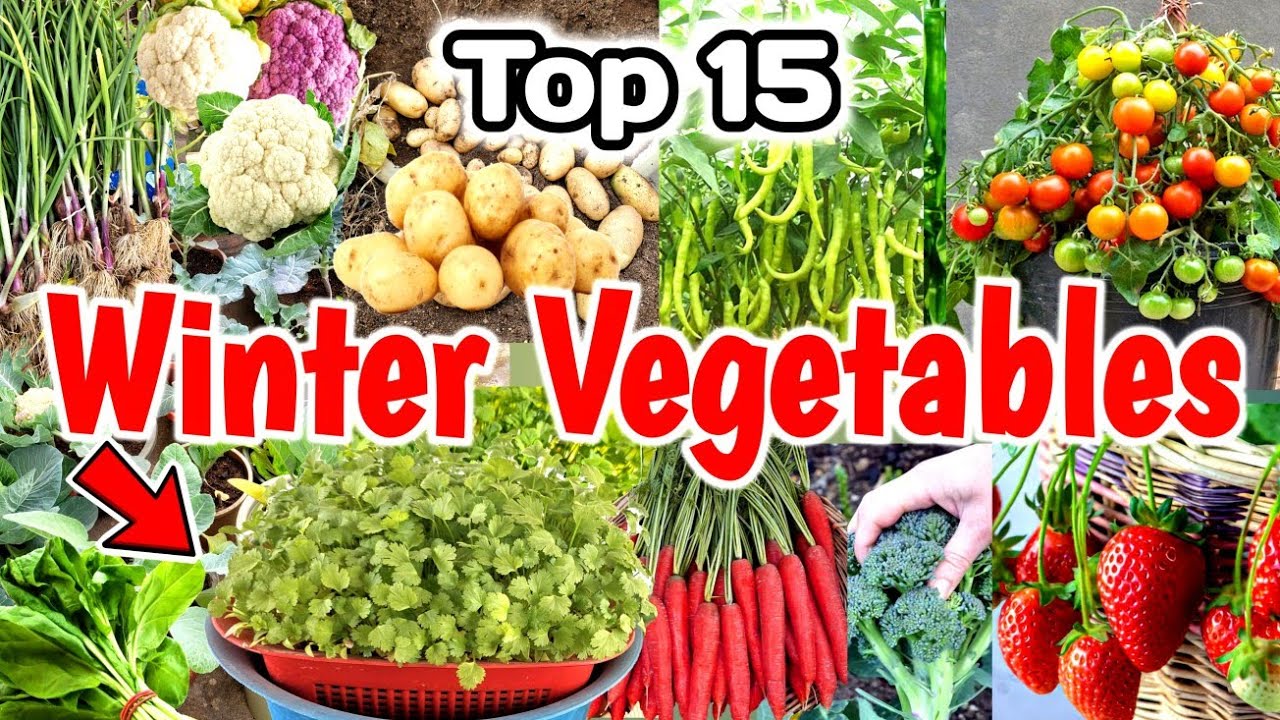 15 Vegetables to Grow | How to Grow Winter Vegetables at Home