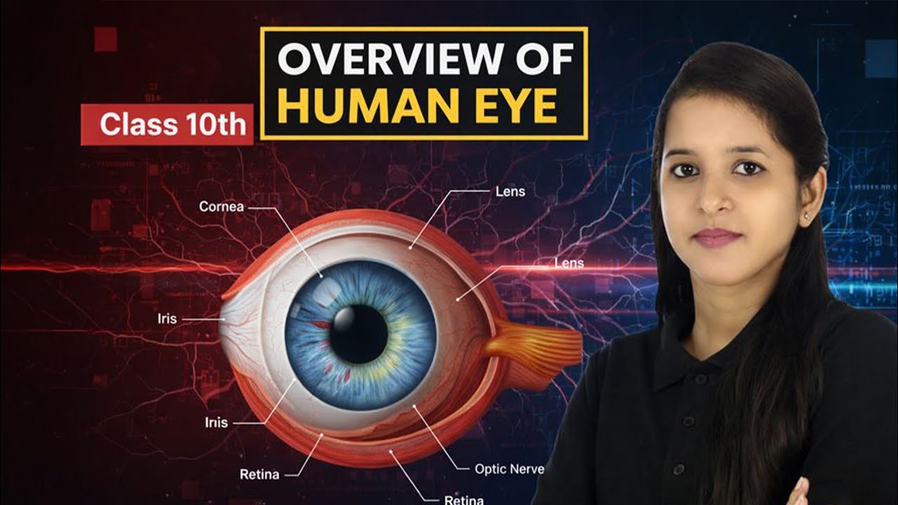 Human Eye & The Colourful World | Class 10 Physics Chapter 10 Full Overview🔥#class10physics