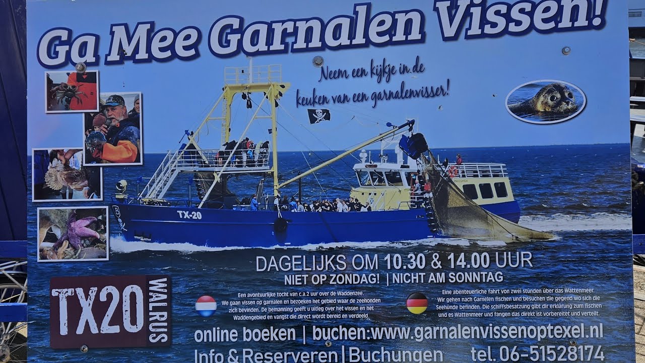 Texel TX-20 Walrus  Haven Oudeschild 14 06 2023 Teil 1