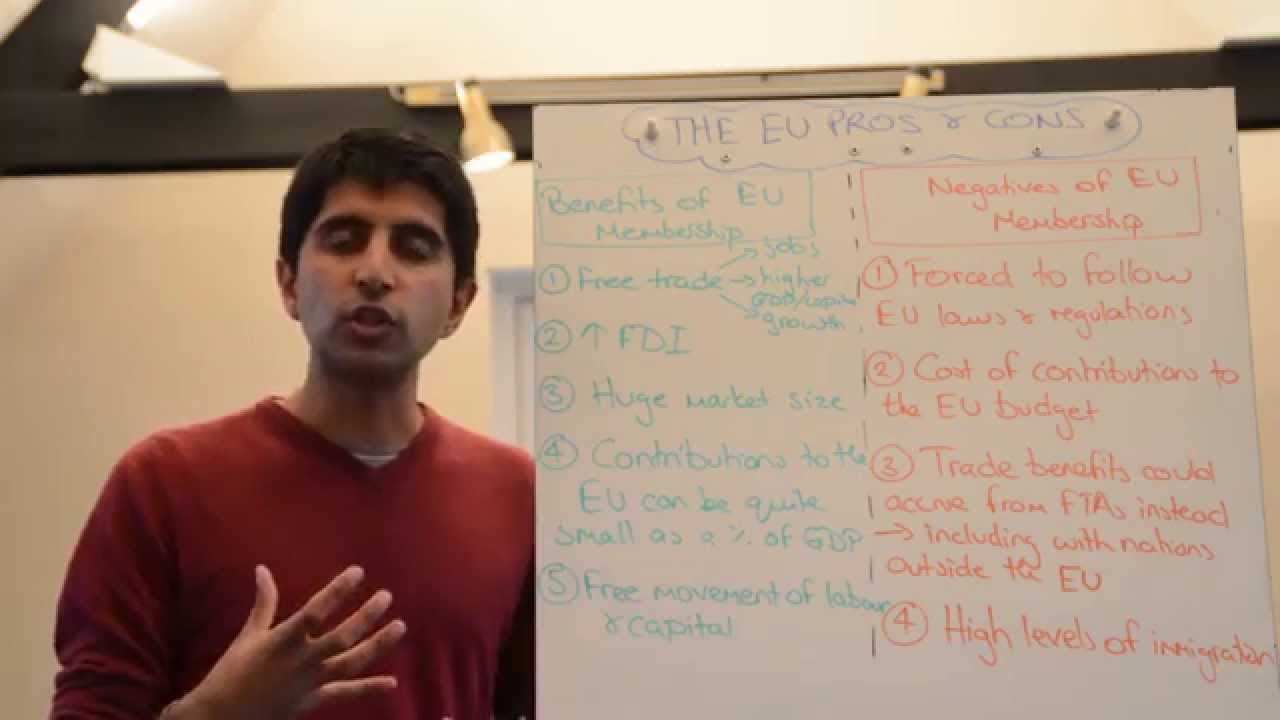 The EU - Pros and Cons of Membership