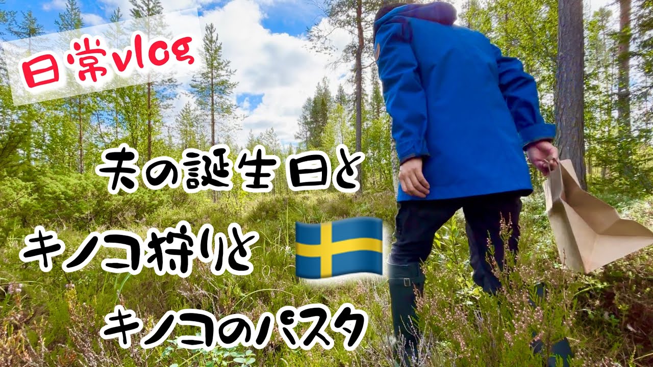 夫の誕生日とキノコ狩り/スウェーデン北部の8月の森