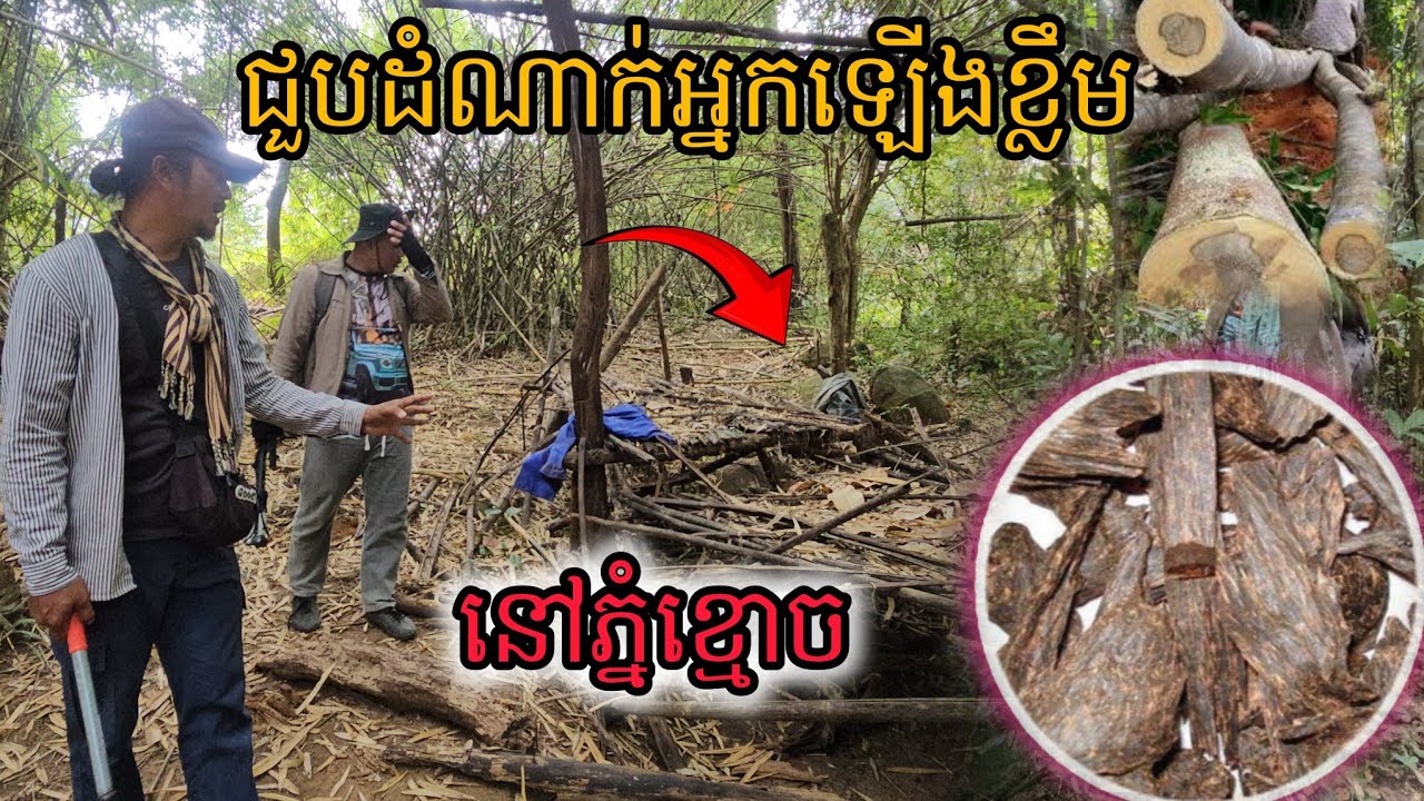 ជួបដំណាក់អ្នកឡើងខ្លឹមនៅភ្នំខ្មោច