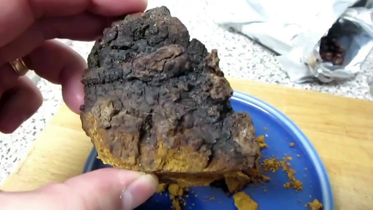 Where to Find Chaga & How to Make Chaga Coffee | Superfood Chaga Mushroom Benefits