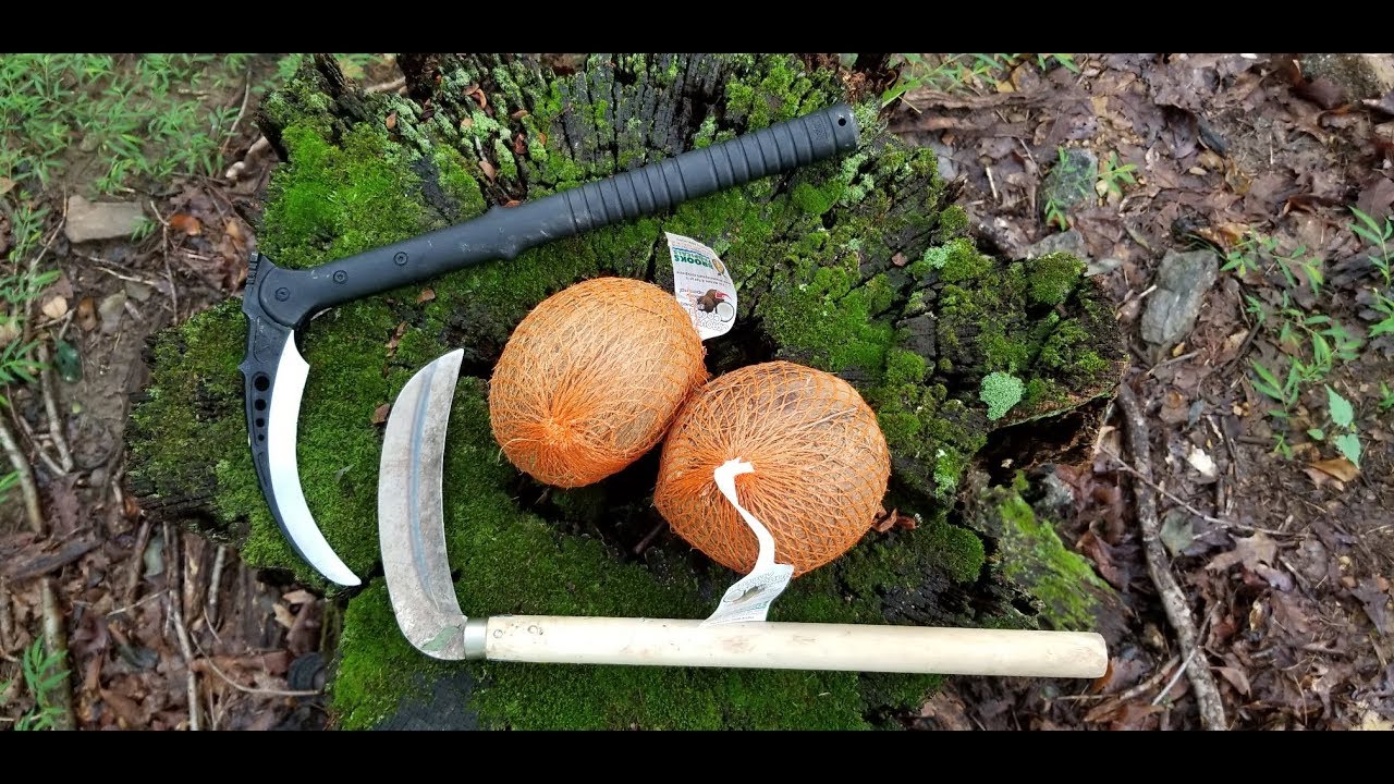 Traditional and M48 Kama v. Coconuts