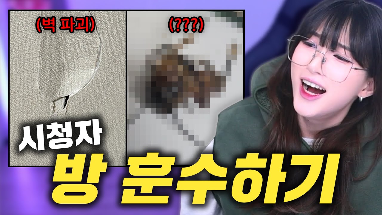 방에서 뭘하고 사는 거야