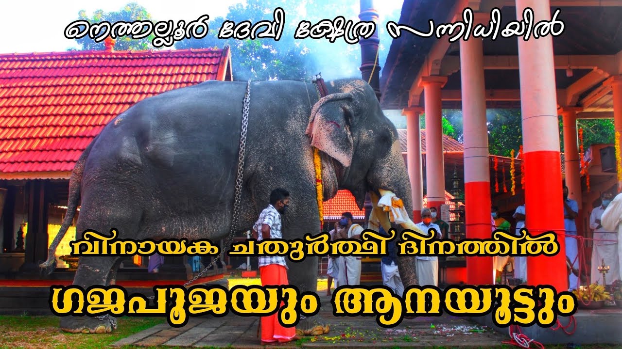 Vinayaka Chathurthi | Aanayoottu | Puthuppally Kesavan | Manoj Puthuppally | Aneesh Kodungallur