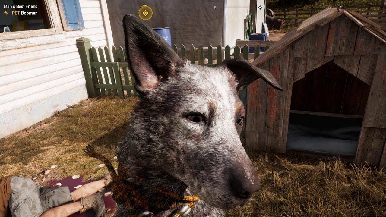 Far Cry 5: Man's Best Friend - Boomer Fangs for Hire Quest (1080p 60FPS Ultrawide HD)