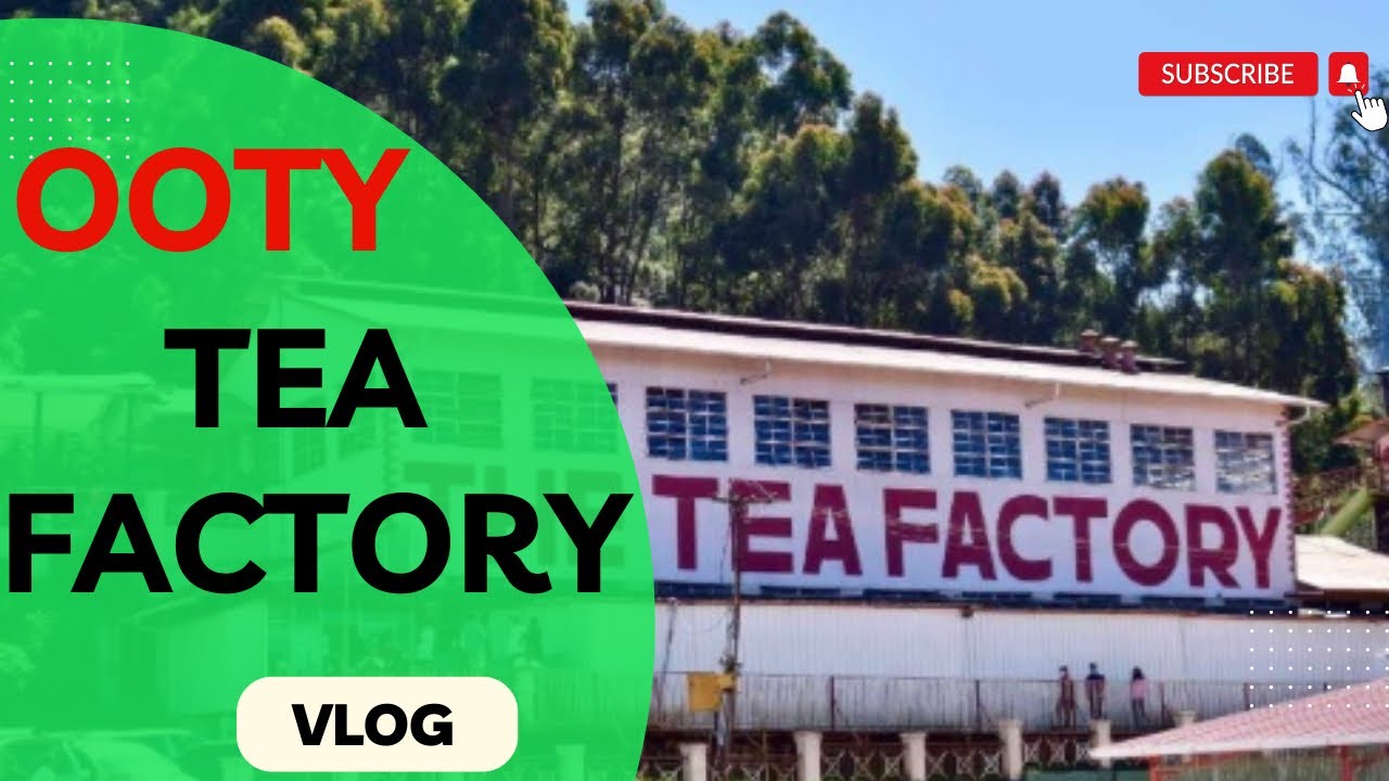 Ooty Tea factory visit | How tea produced in Ooty | Benchmark Tea Museum vlog
