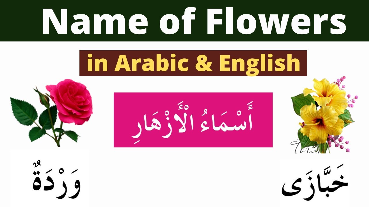 Name of Flowers in Arabic. Arabic Vocabulary. Learn Arabic with Salim Qasmi.