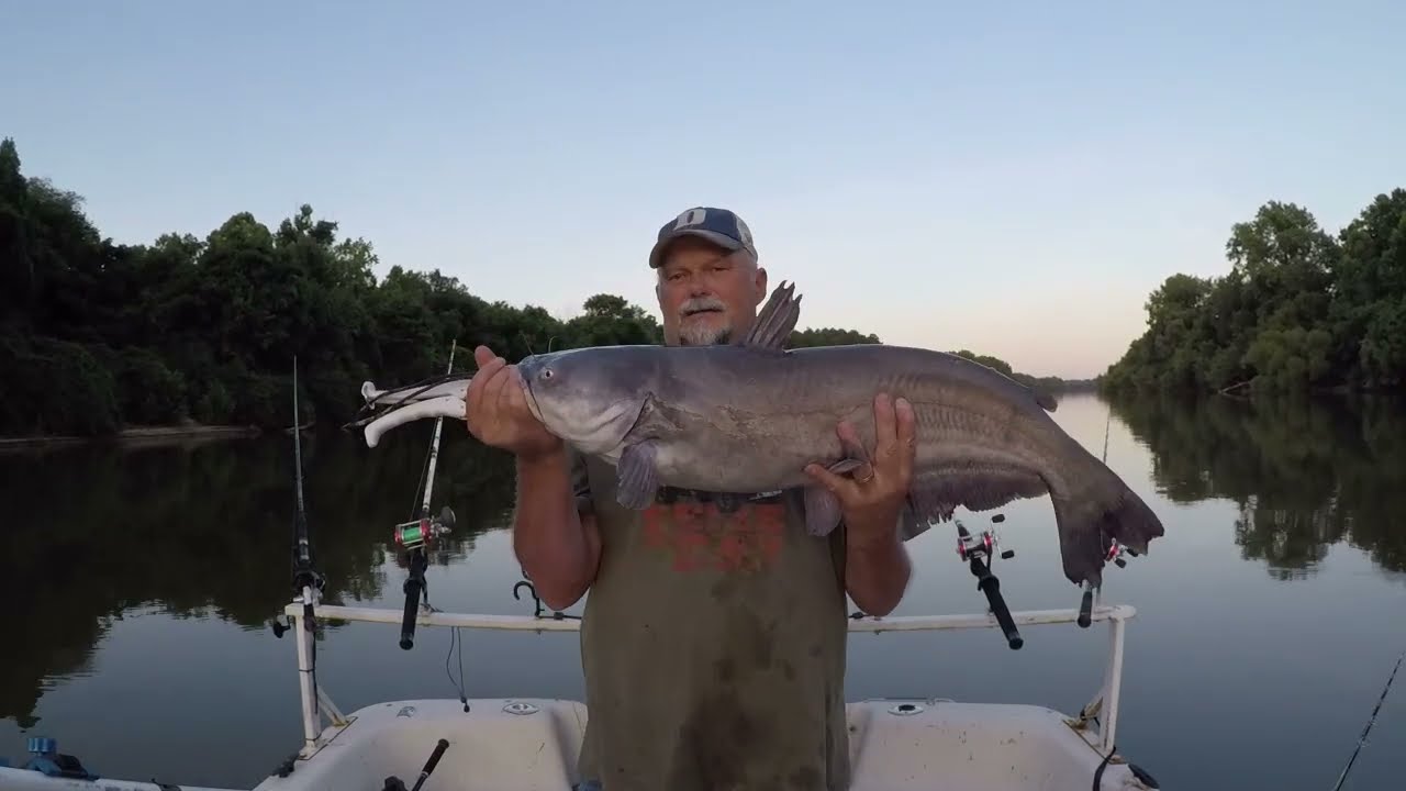 Post Spawn Yadkin River Catfish