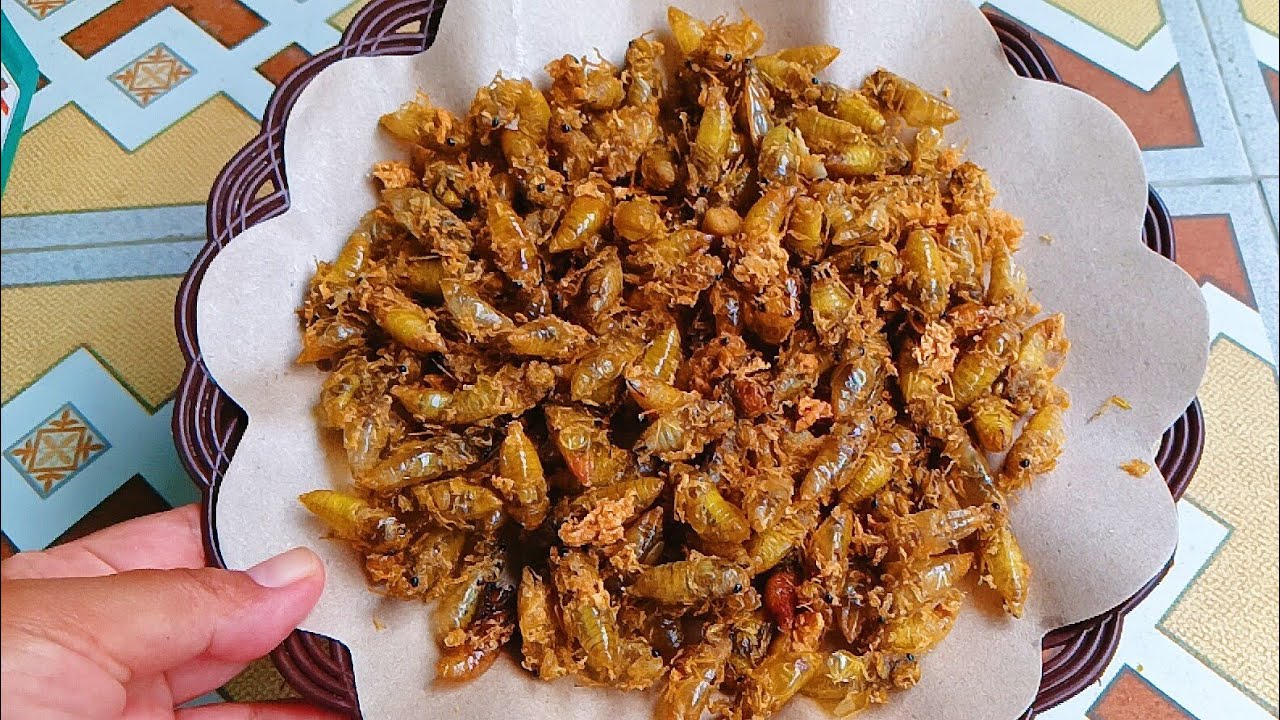 Renyah Gurih Aman Dikonsumsi ⁉️ Resep Tonggeret Goreng Crispy Bisa Buat Lauk Nasi & Cemilan 