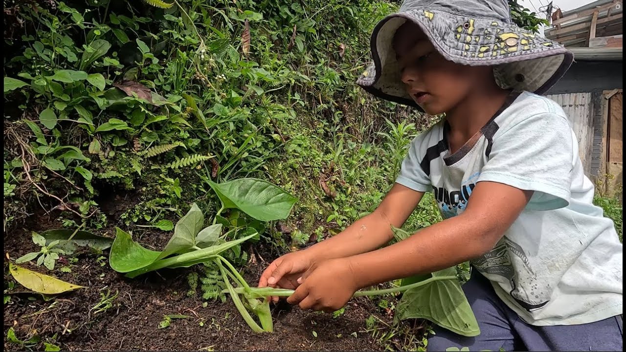 Así nos enseña un niño de 5 años a amar el campo #campo #4k #niños #campesinos #colombia #vidarural