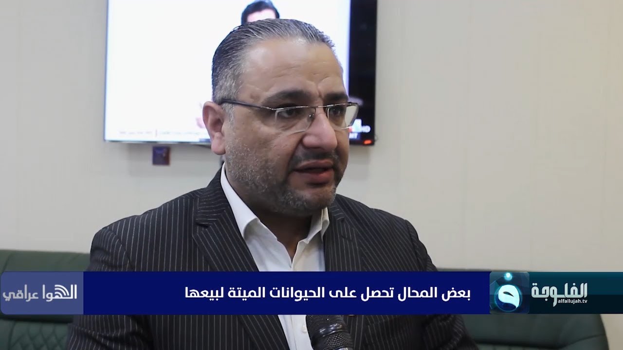 مدير صحة بابل د. نورس عبد الرزاق: بعض المحال تحصل على الحيوانات الميتة لبيعها