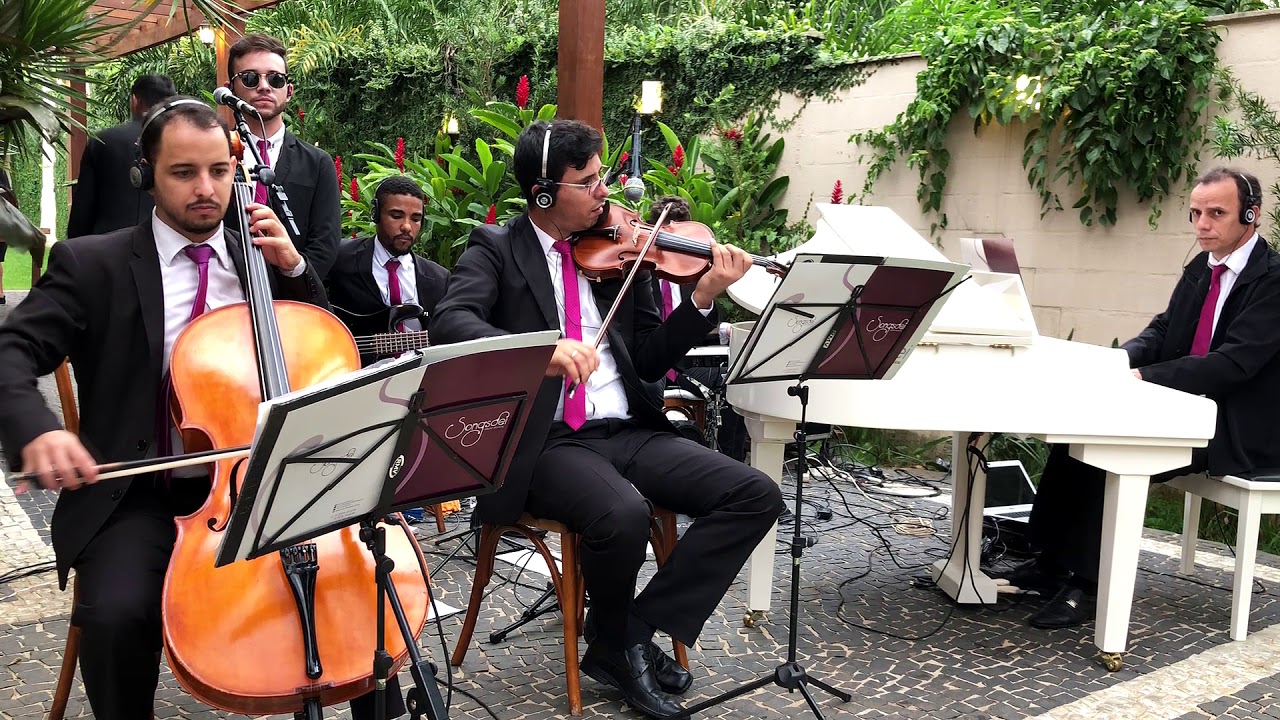 A Whole New World - Aladdin - Um Mundo Ideal - Instrumental Violino - Musical Songsdei - Casamento