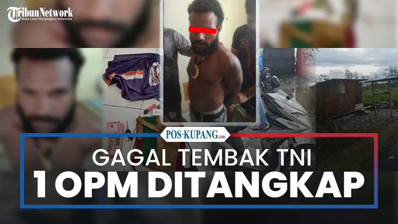Gagal Tembak Anggota TNI, 1 Anggota OPM Ditangkap di Yahukimo