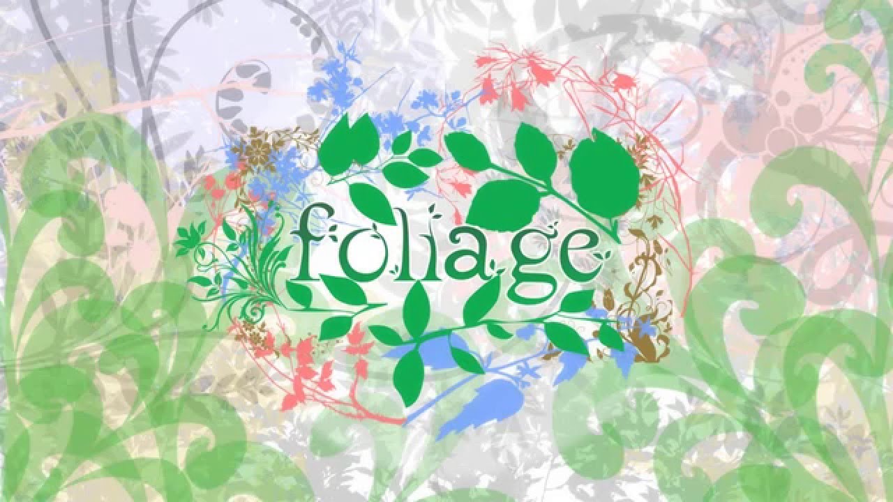 a_hisa - foliage
