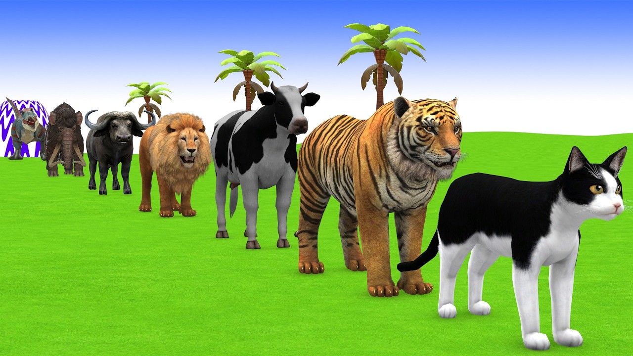 Long Slide Game with Cow Elephant Gorilla Hippopotamus Tiger 3d Animal Game Funny 3d Animals