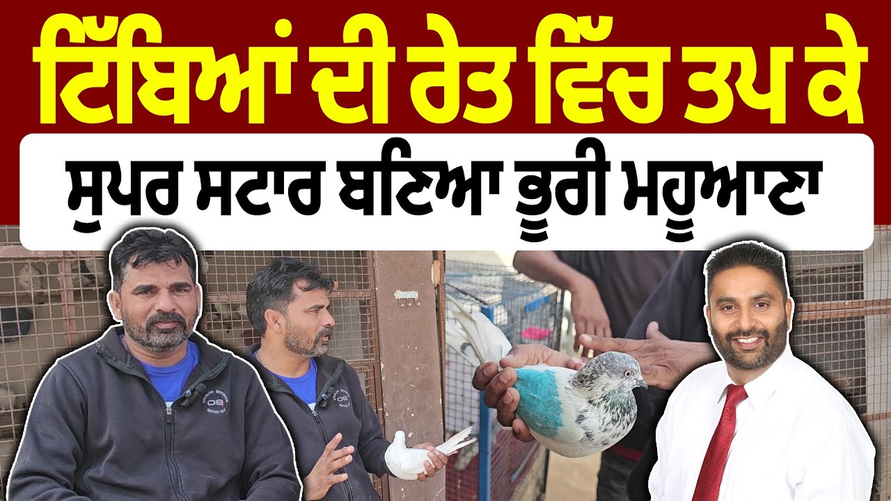 Season 3 | ਟਿੱਬਿਆਂ ਦੀ ਰੇਤ ਵਿੱਚ ਤਪ ਕੇ ਸੁਪਰ ਸਟਾਰ ਬਣਿਆ ਭੂਰੀ | Sundip Brar Interview with Bhuri Mahuana