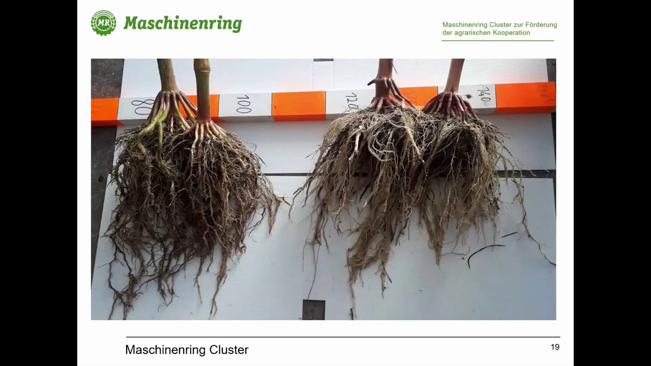 Maschinenring Feldtage - Versuchsinterpretation Teil 2