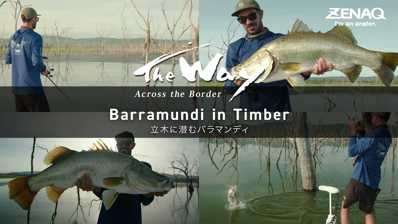 Fierce Barramundi Hidden in the Timber │ The Way – Jonny Brooks (Revisited Part 3/4)