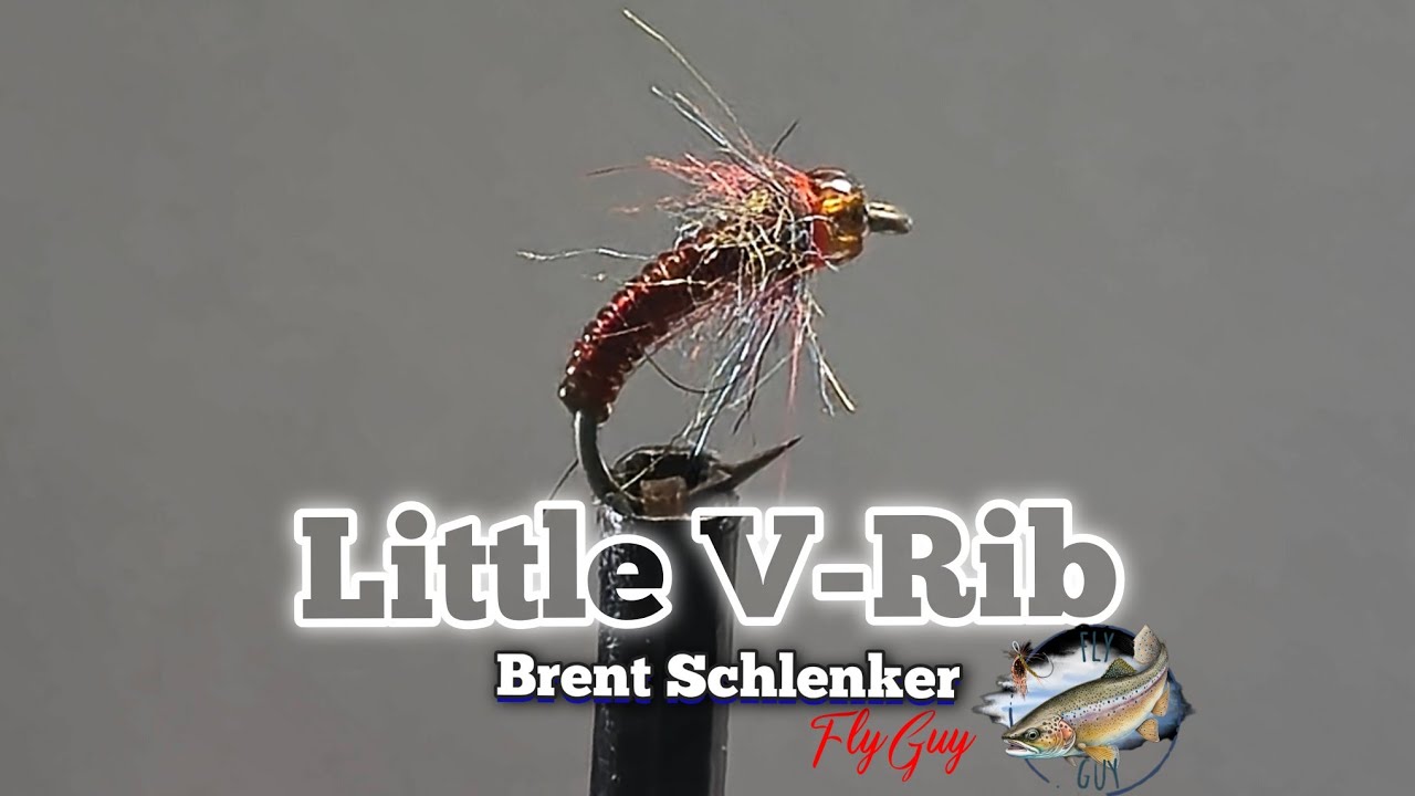 Little V Rib is a wonderful fly that gets some attention!