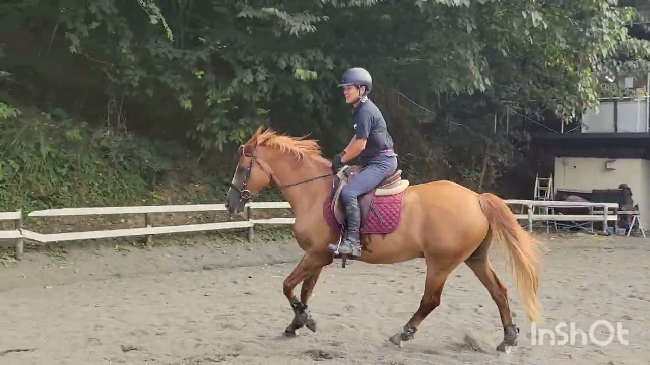 【駈歩が続かない方へ　ワンポイントアドバイス】本橋インストラクター&タッチ号