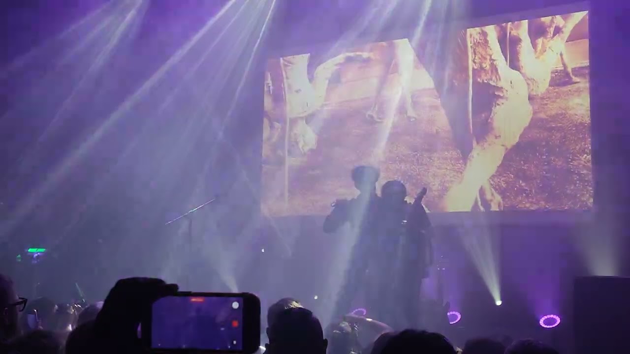 Clan of xymox -