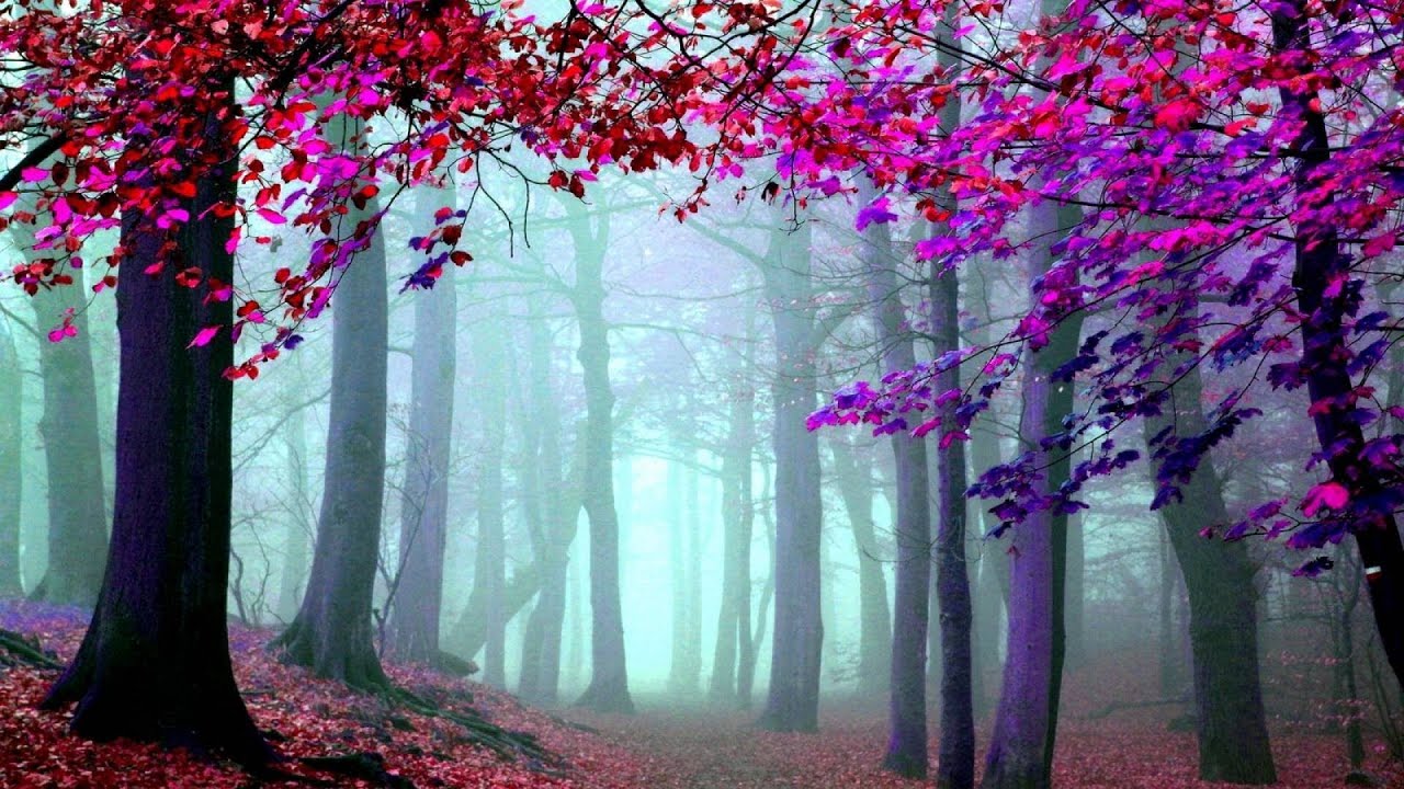 Relaxing Music Meditation-SLEEP MUSIC-Ressonancia Espiritual