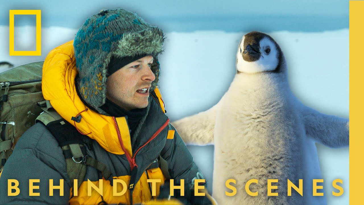 Behind the Lens with Bertie Gregory | Secrets of the Penguins | National Geographic