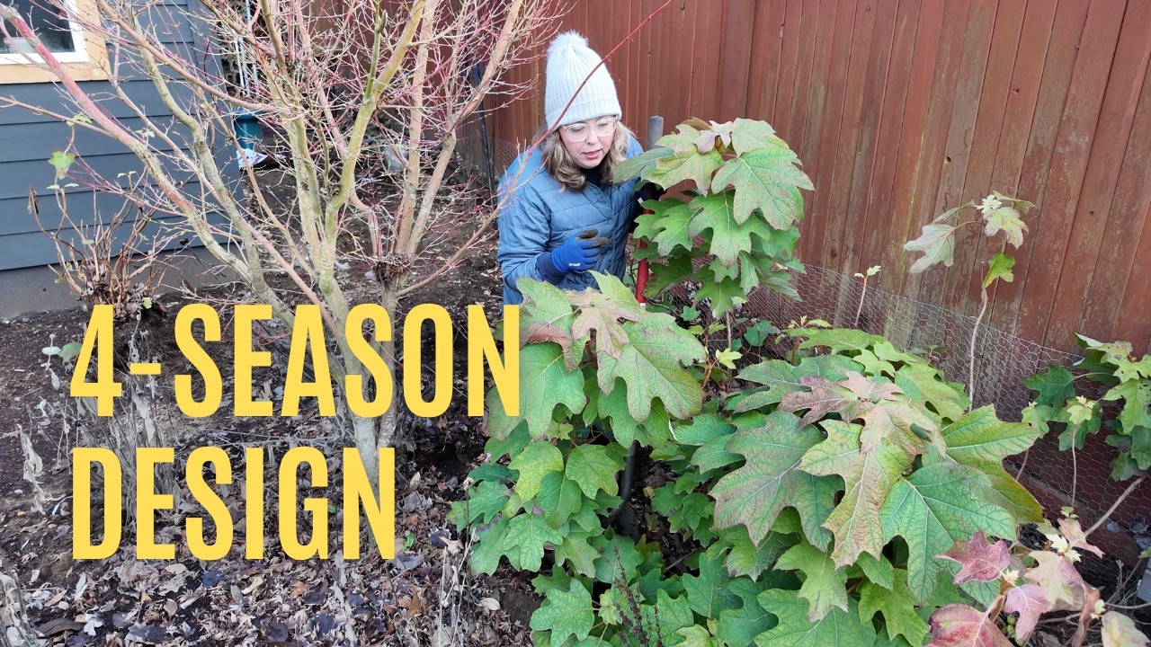 Designing a 4-Season Corner Garden 🌷☀️🍁❄️
