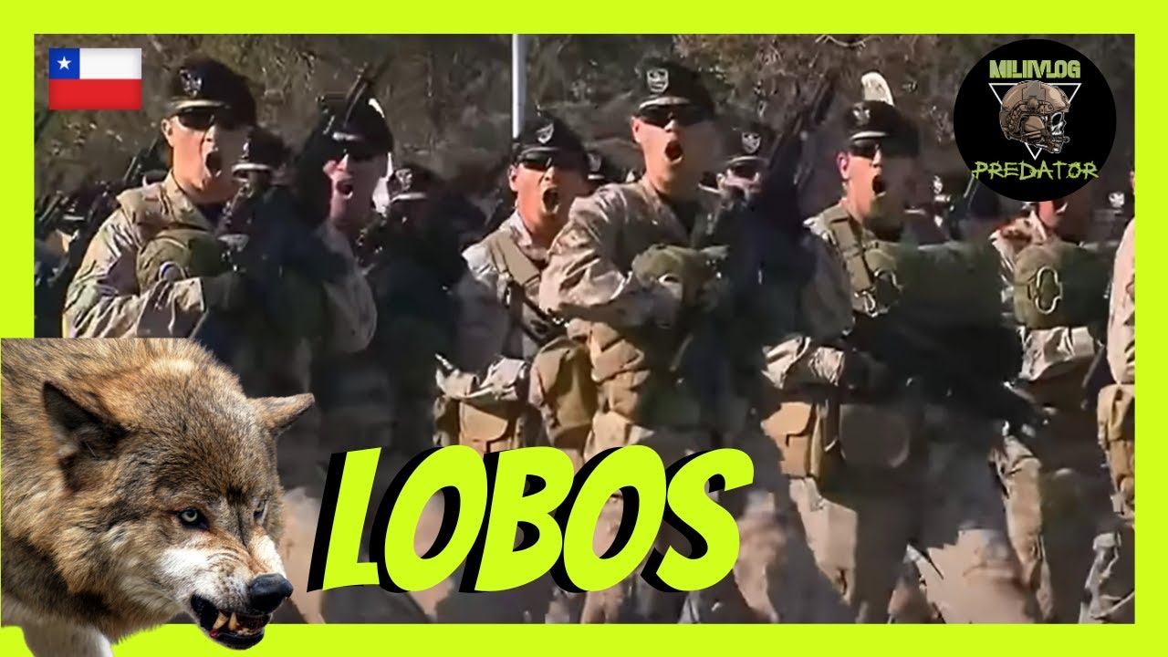 ✅  MILITAR ESPAÑOL reacciona a PARADA MILITAR de CHILE  | 😲