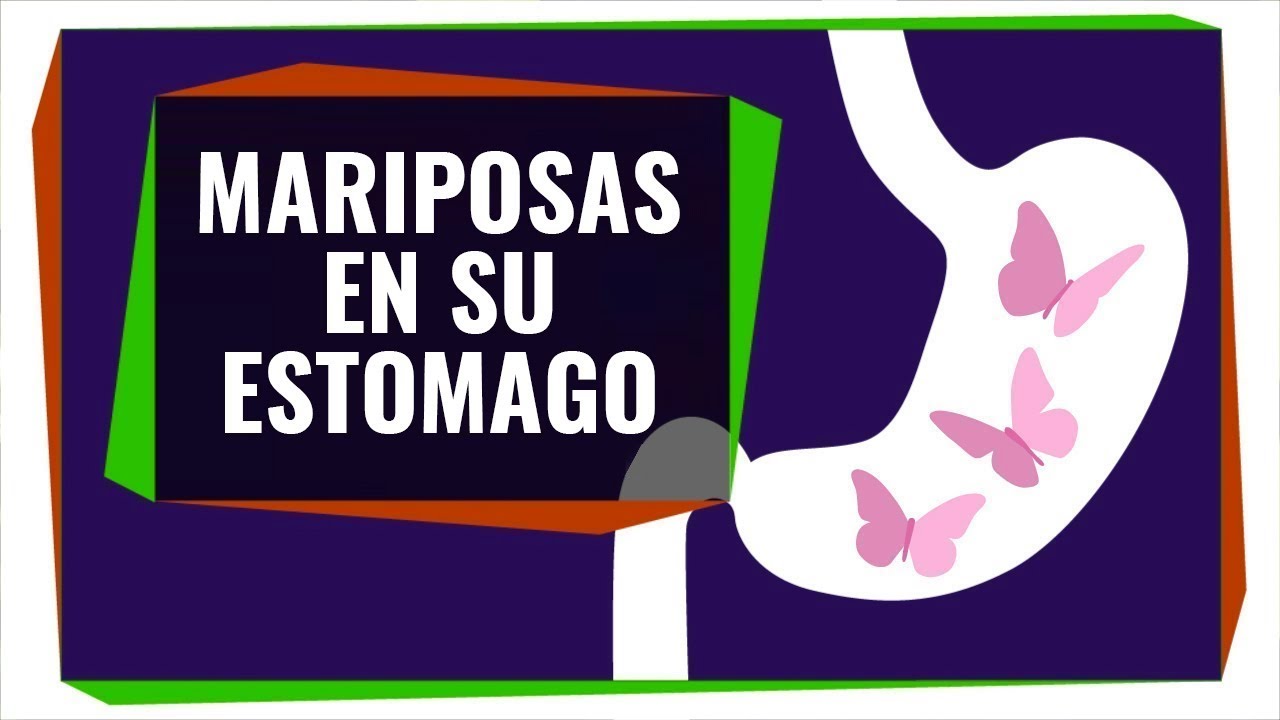 Adolescente Se Traga 15 Mariposas Porque Querías Saber Que Era Estar Enamorada