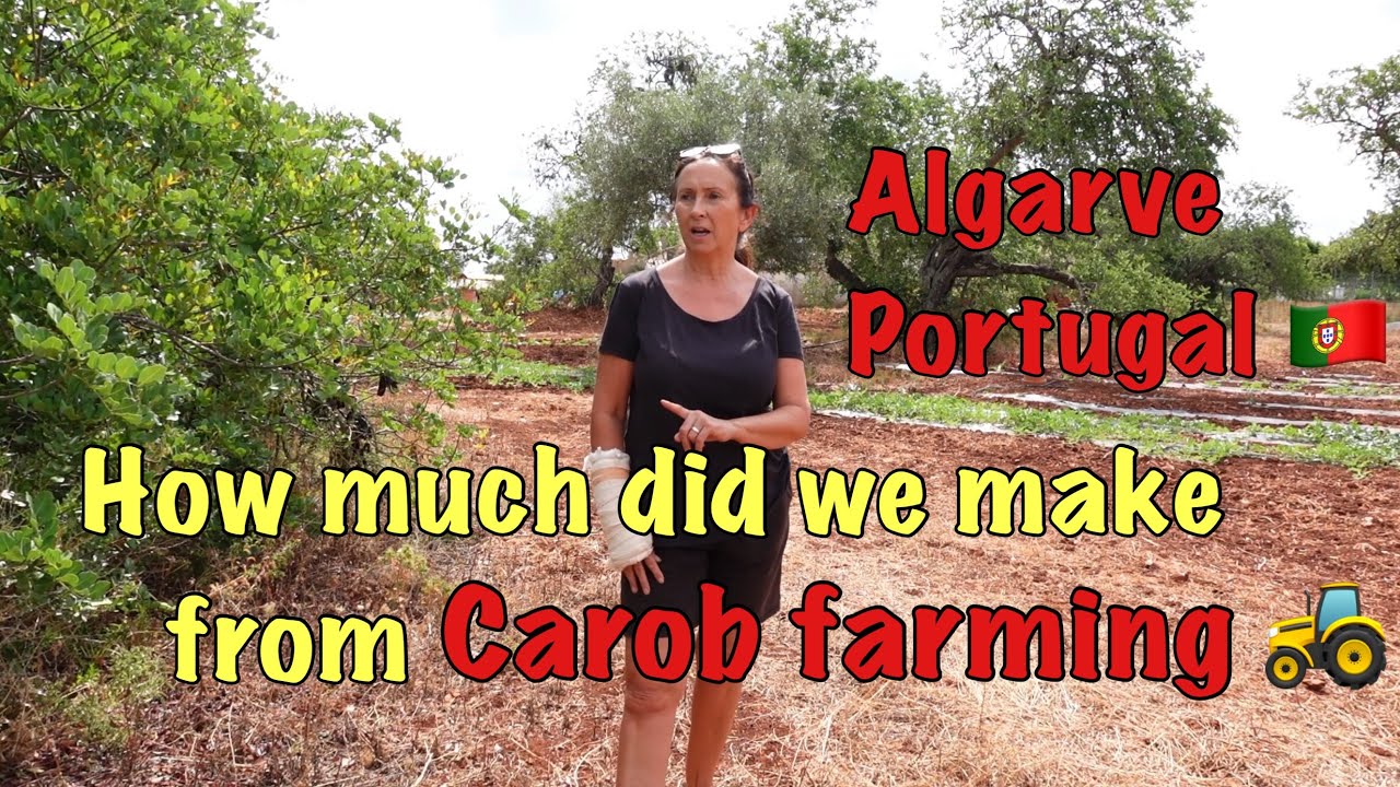 How much did we make from carob farming ? 🚜
