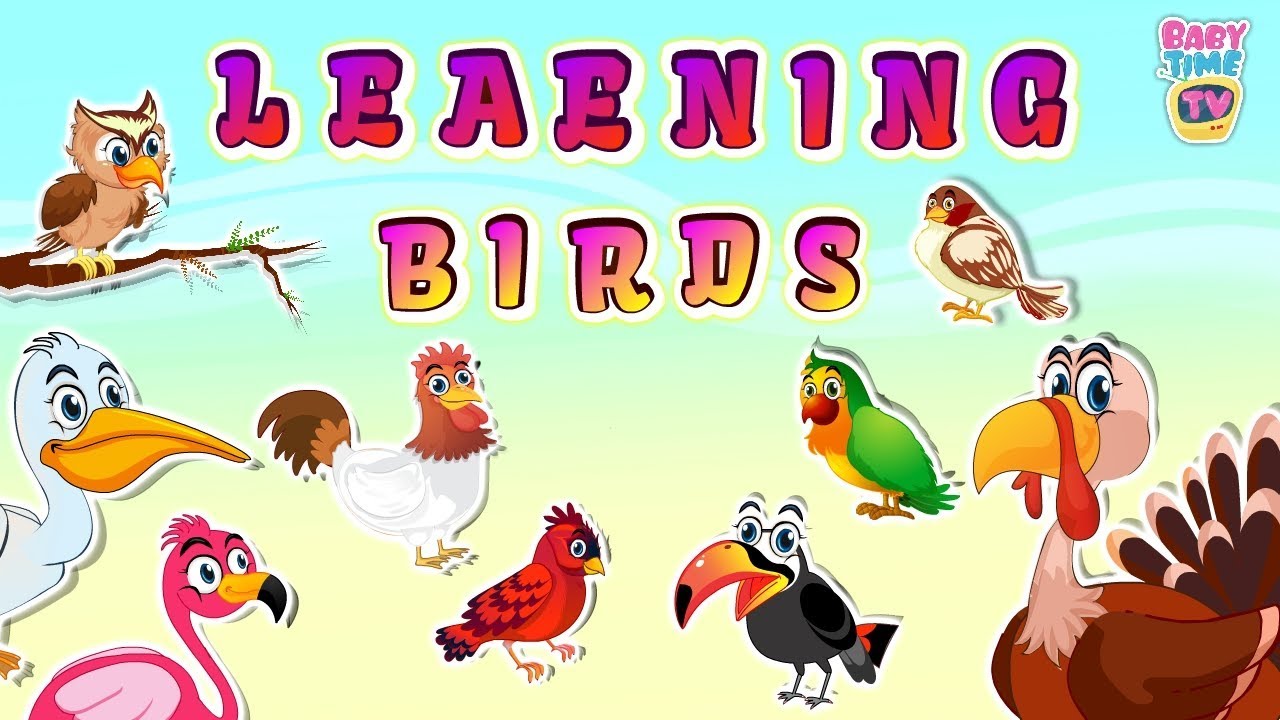 Learn Various Birds Name And There  Sounds For Kids | BabyTime TV