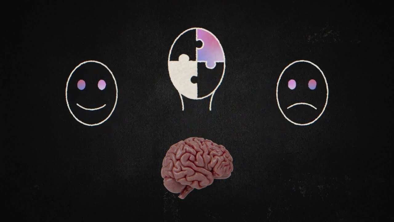 Unlocking the Power of Non-Invasive Brain Stimulation to Map the Human Brain
